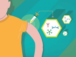 โรคภูมิเพี้ยน (Autoimmune Disease) รู้จักโรคนี้กันหรือยัง โรคภูมิเพี้ยน