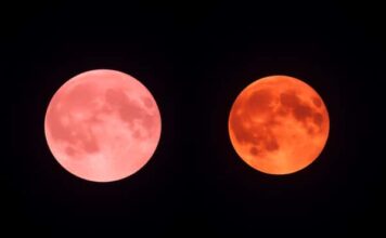 Pink Moon กับ Blood Moon ต่างกันอย่างไร? อย่าสับสนระหว่างจันทร์ชื่อหวานกับจันทร์สีเลือด Pink Moon กับ Blood Moon ต่างกันอย่างไร? อย่าสับสนระหว่างจันทร์ชื่อหวานกับจันทร์สีเลือด