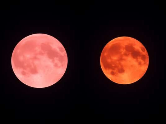 Pink Moon กับ Blood Moon ต่างกันอย่างไร? อย่าสับสนระหว่างจันทร์ชื่อหวานกับจันทร์สีเลือด Pink Moon กับ Blood Moon ต่างกันอย่างไร? อย่าสับสนระหว่างจันทร์ชื่อหวานกับจันทร์สีเลือด