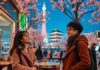 เที่ยวเกาหลีแบบ K-drama Fan วางแผนยังไงให้ฟิน ได้รูปสวย และเที่ยวได้จริง เที่ยวเกาหลีแบบ K-drama Fan วางแผนยังไงให้ฟิน ได้รูปสวย และเที่ยวได้จริง
