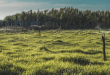 โครงการสูบน้ำสำหรับเกษตรกร: คู่มือเข้าถึงการสนับสนุนและกลไก ‘น้ำถึงแปลง’ โครงการสูบน้ำสำหรับเกษตรกร: คู่มือเข้าถึงการสนับสนุนและกลไก 'น้ำถึงแปลง'